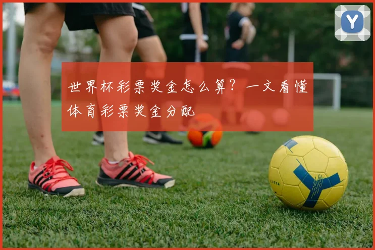 世界杯彩票奖金怎么算？一文看懂体育彩票奖金分配
