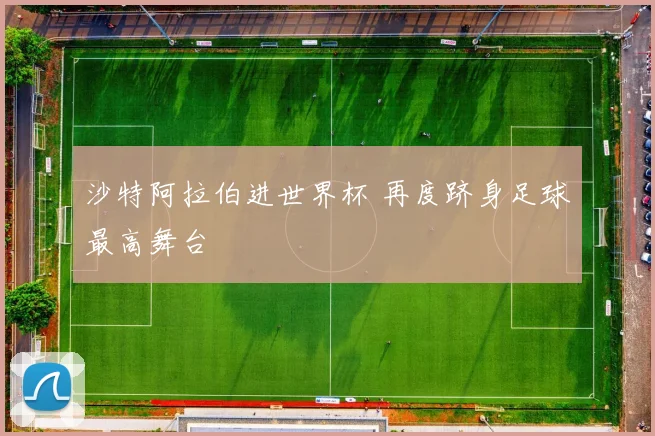 沙特阿拉伯进世界杯 再度跻身足球最高舞台