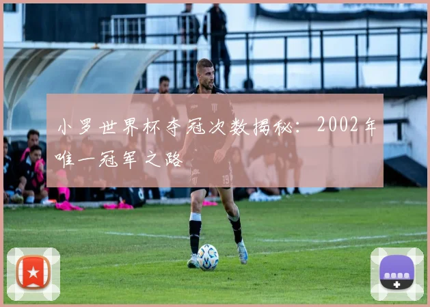 小罗世界杯夺冠次数揭秘:2002年唯一冠军之路