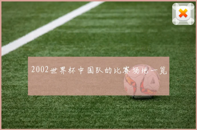 2002世界杯中国队的比赛场地一览