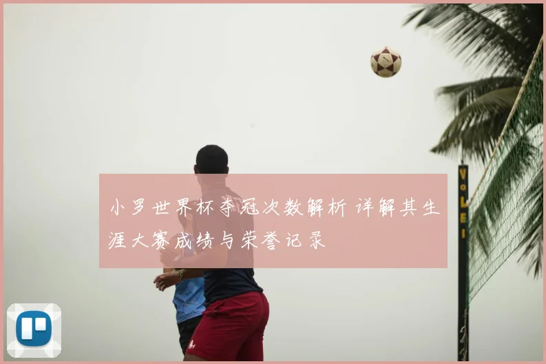 小罗世界杯夺冠次数解析 详解其生涯大赛成绩与荣誉记录