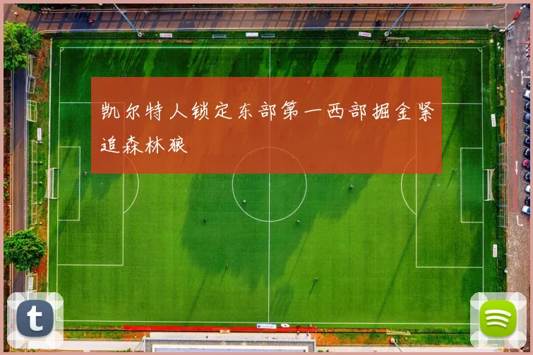 凯尔特人锁定东部第一西部掘金紧追森林狼