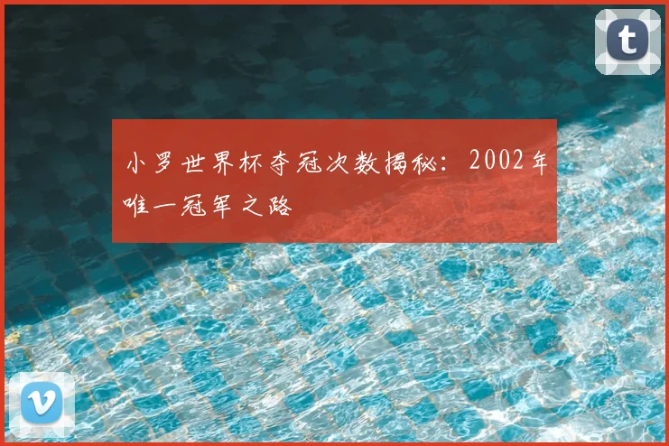 小罗世界杯夺冠次数揭秘:2002年唯一冠军之路