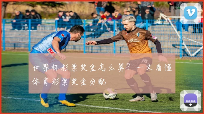 世界杯彩票奖金怎么算？一文看懂体育彩票奖金分配