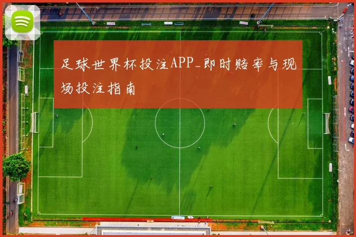 足球世界杯投注APP_即时赔率与现场投注指南