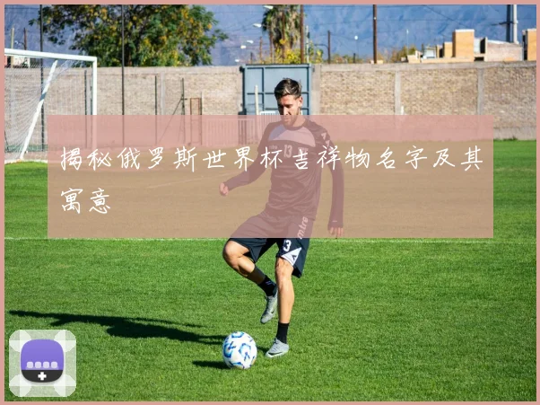 揭秘俄罗斯世界杯吉祥物名字及其寓意