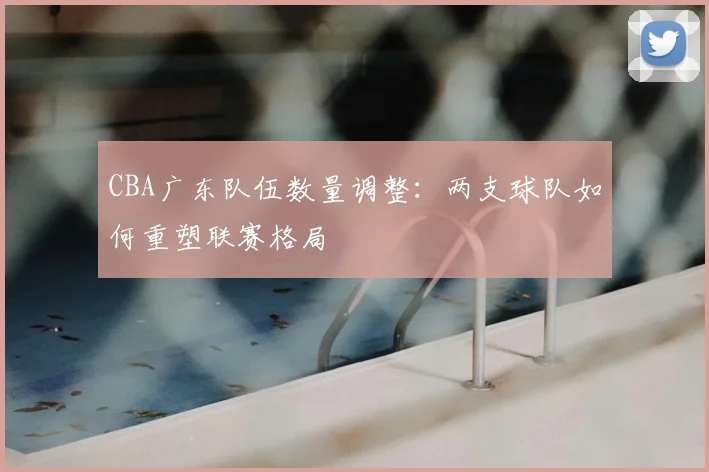CBA广东队伍数量调整:两支球队如何重塑联赛格局