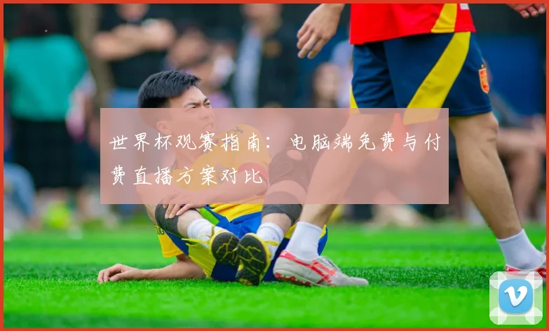 世界杯观赛指南:电脑端免费与付费直播方案对比