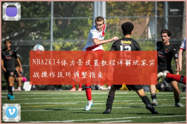 NBA2K14体力条设置教程详解玩家实战操作技巧调整指南