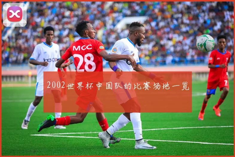 2002世界杯中国队的比赛场地一览